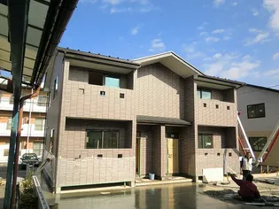 カメリアの画像