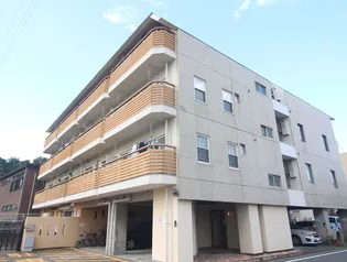 フラワ-マンション【4階】の外観