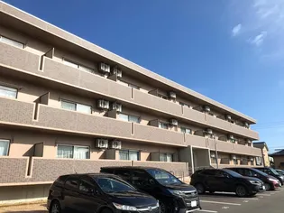 サンバレーVの画像