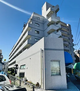 ベイ ドルフィンの画像