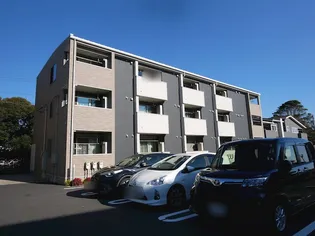 ラフレシールBの画像