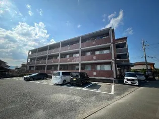 ソレイユ5の画像