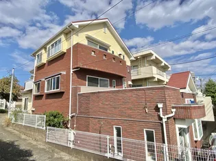 パームIIの画像