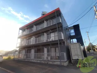 ベターアール桜の画像