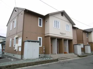 アミスターIIの画像