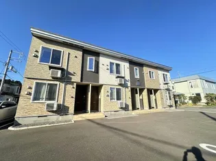 カメリアの画像