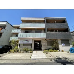 パルミラMの画像