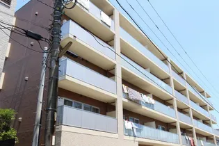 ライズコートの画像