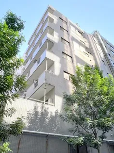 アネックス小林【7階】の外観