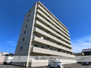 エムズドリームXの画像
