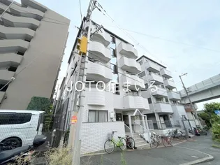 シャルマンしぎのの画像