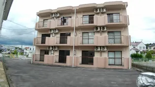 ミースモンペールの画像