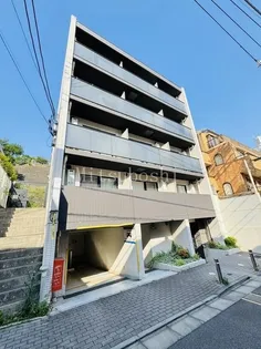 アルテシモカーロの画像