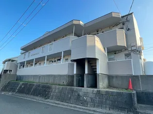 パインクレストの画像