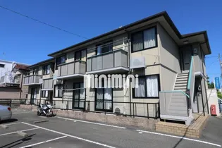 シンシア向山の画像