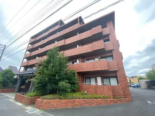 フローラルマキノの画像