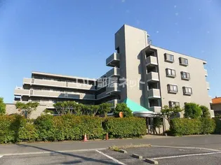 エレガンスの画像