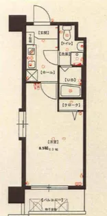 エンクレスト警固【7階】の間取り