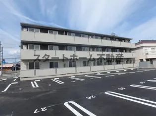 セレブ ミモザの画像