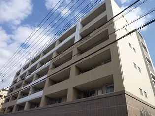 シャン ピエールの画像