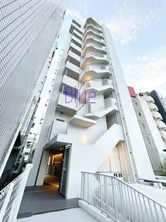 ワイティーレガシーの画像