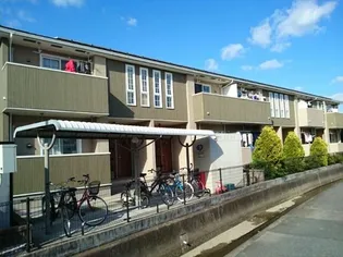 プラス ワンの画像