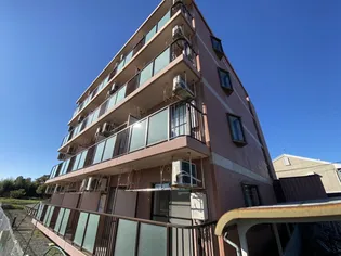 まえの花きゃべつの画像