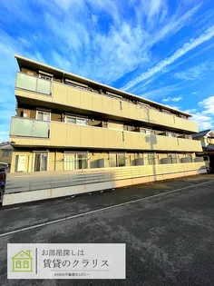 サウス フォリアの画像