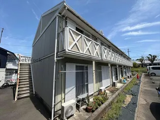ビオラ栄の画像