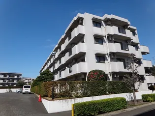 ロイヤルシティ四番館【4階】の外観