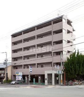 VIOLA OKURAの画像