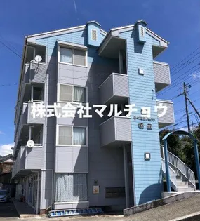 衣笠キャスルハイツ【4階】の外観