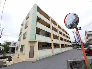 VIENI CON TERNの画像