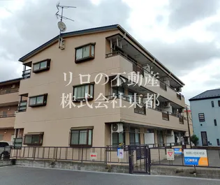 パールハイムコナヤIIIの画像