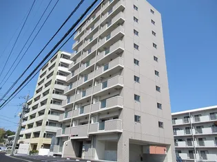 SUNSHINE KASUGAの画像