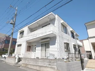 パルオークの画像