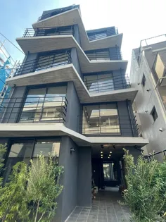 TRIASの画像