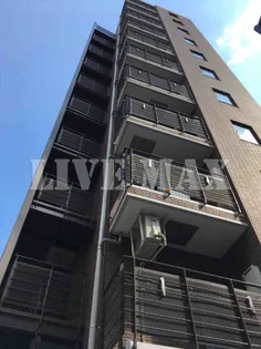 菱和パレス日本橋浜町【11階】の外観