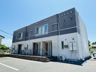 モダンコートの画像