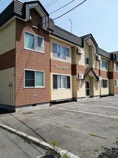 プルメリアの画像