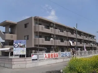 林マンション【3階】の外観