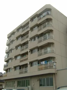 金沢ハイツ【3階】の外観