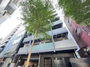 DIPS大山東町【7階】の外観