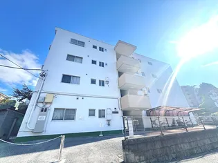 チェリーハイツ【4階】の外観