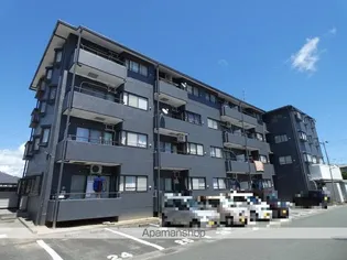 ダイヤモンド寿泉の画像