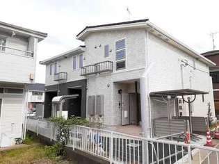 フランジパニの画像