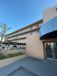 サンウッド2の画像