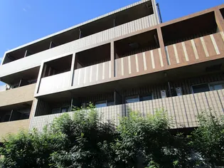 ベルグレードNFの画像