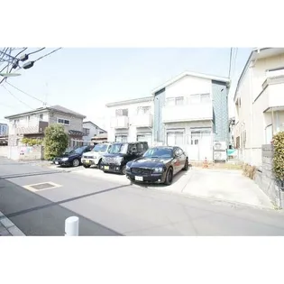 ルピナスの画像