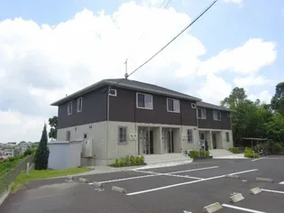 レグルスの画像
